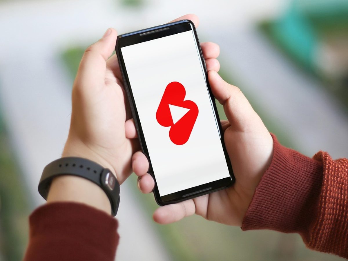 樱花网站 App 主界面展示：手机竖屏中依次排开分类导航卡片与搜索框，浅绿色调界面搭配米色背景，观感清爽安静